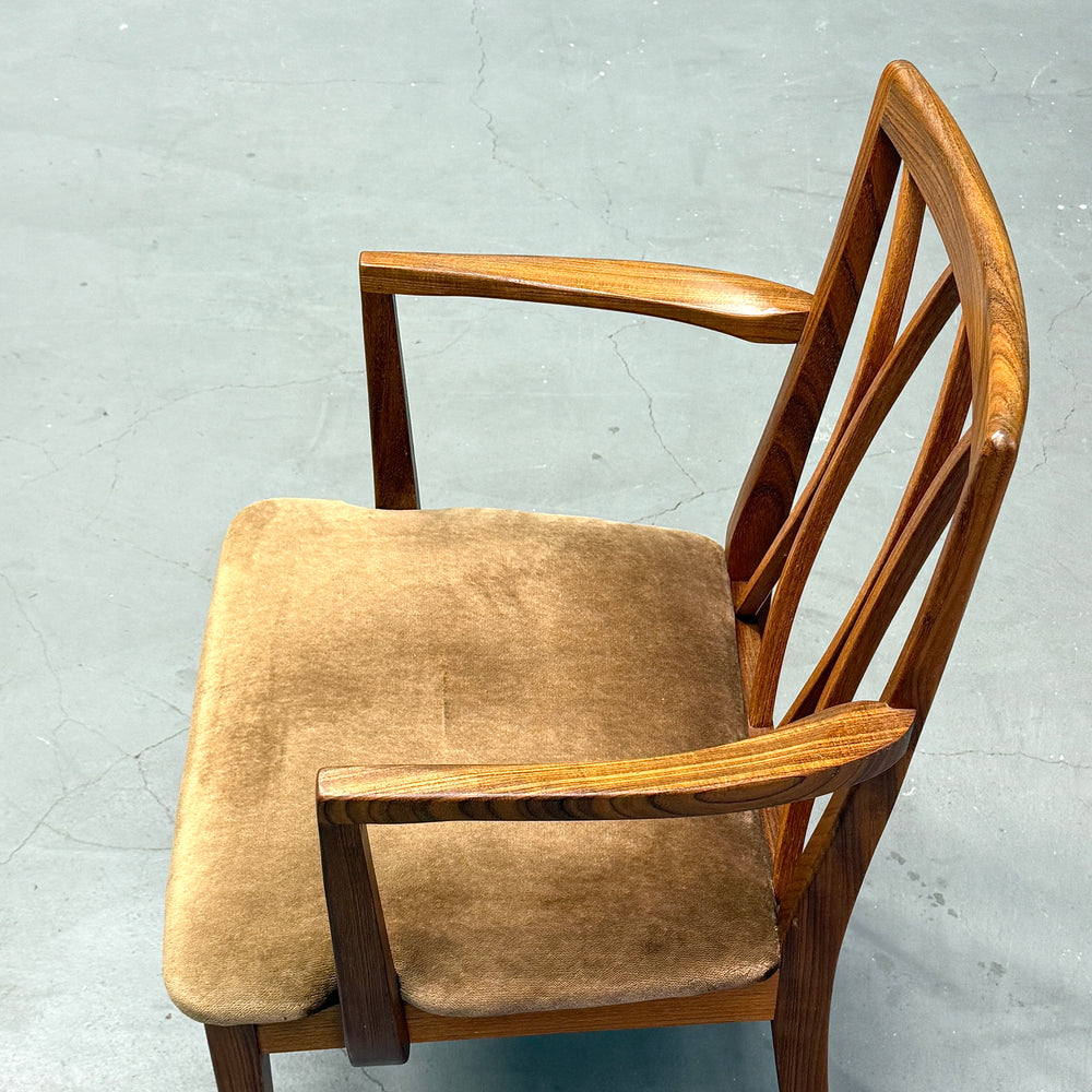 
                      
                        G-PLAN(ジープラン) / Fresco X-back Chair フレスコ エックスバックチェア (405)
                      
                    